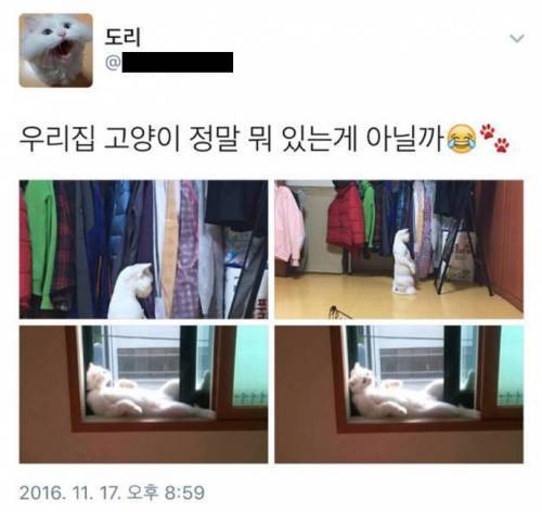 2e33f70d39c7708c6891183f7dee37de.jpeg