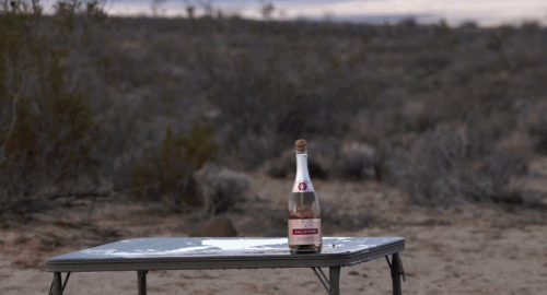 tumblr_nkc9kkiO5P1qzft56o1_500.gif