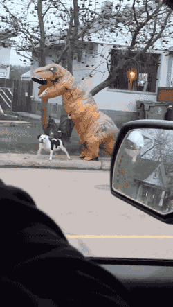 D2D4093A-FBEB-4F27-9886-F9FBE9C7997B-19837-0000171F0C9F042F_file.gif