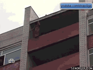 tumblr_nn6rgxGPc01sqlieso1_400.gif