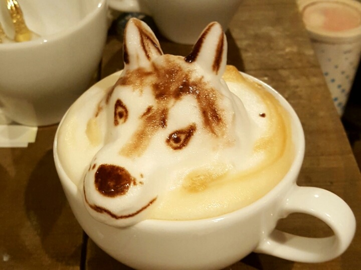 멍멍이라떼.jpg