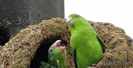 KakaoTalk_20180830_153241432.gif