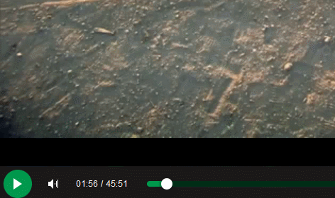 코딩1.gif