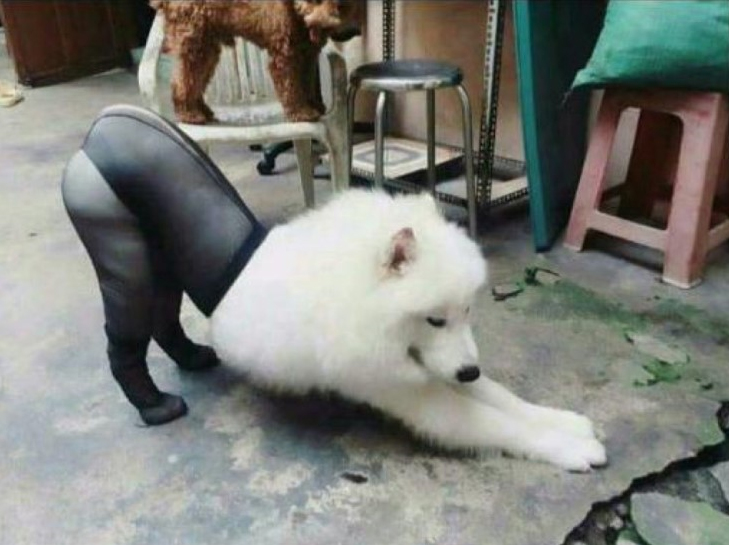 001.jpg