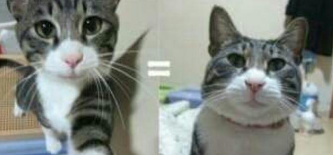 셀카.jpg