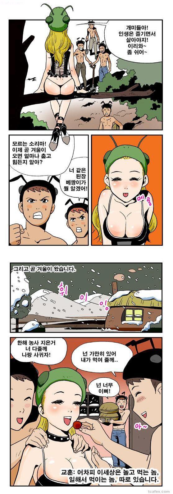 개미와배짱이2.jpg