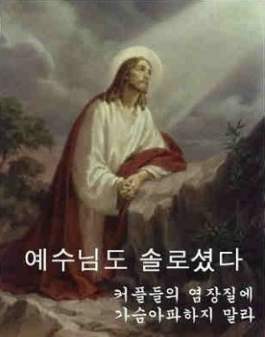 i3871362757.jpg