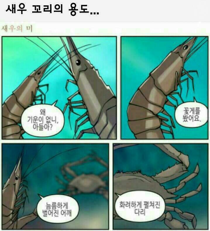 새우꼬리1.jpg