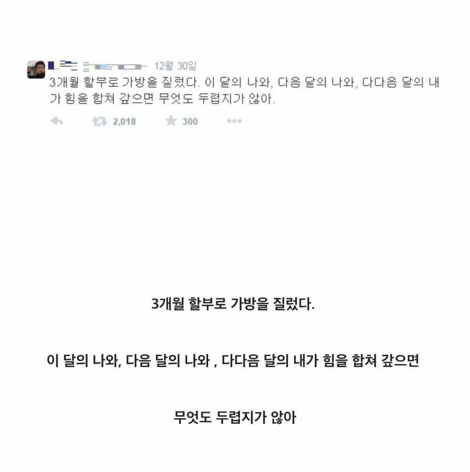 할부의 힘.jpg