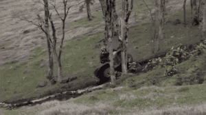 나돌아갈래.gif