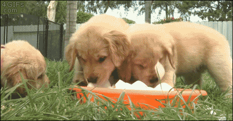 123.gif