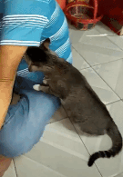 ezgif.com-resize.gif