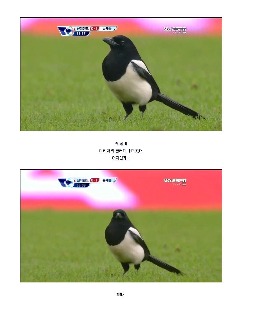 뭘봐.jpg