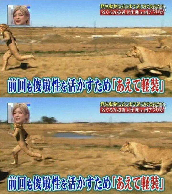 목숨건일본예능16.jpg