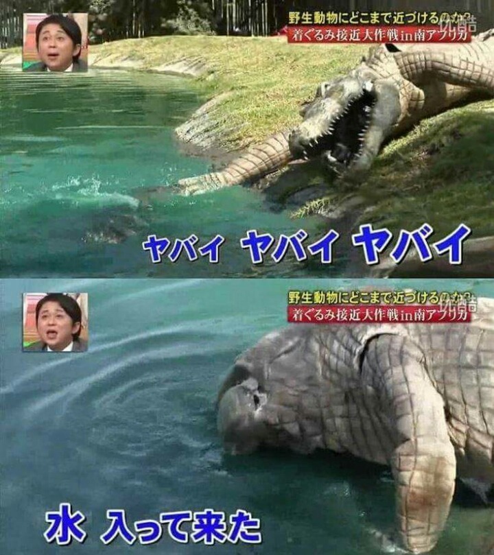 목숨건일본예능10.jpg