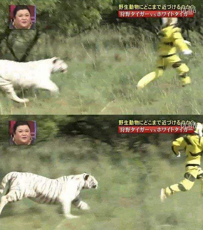 목숨건일본예능23.jpg