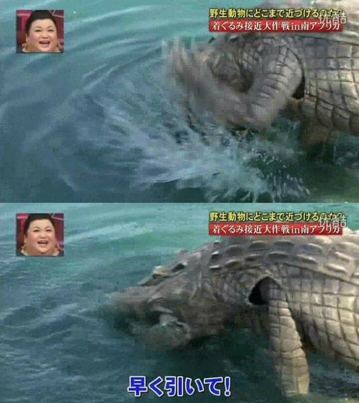 목숨건일본예능11.jpg