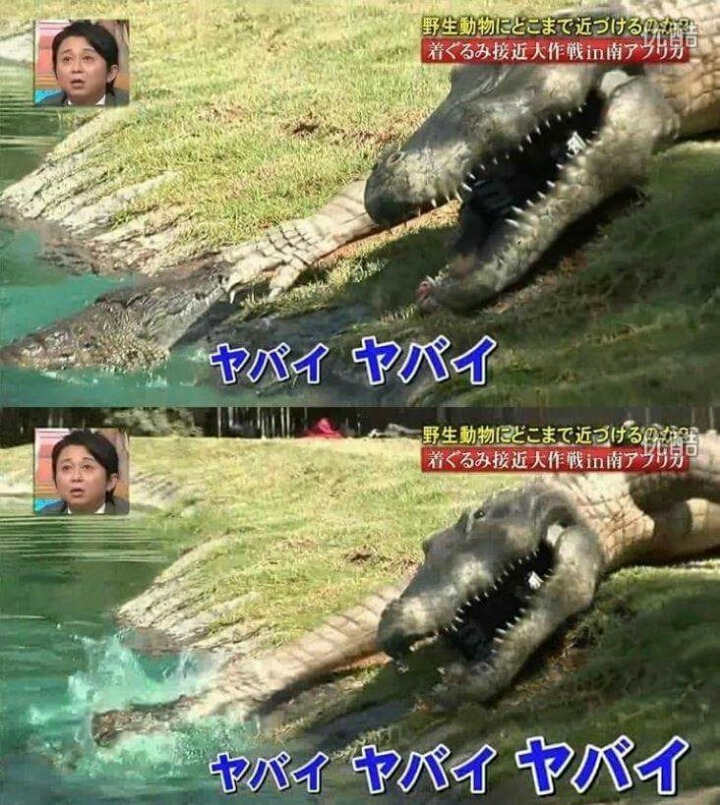 목숨건일본예능09.jpg