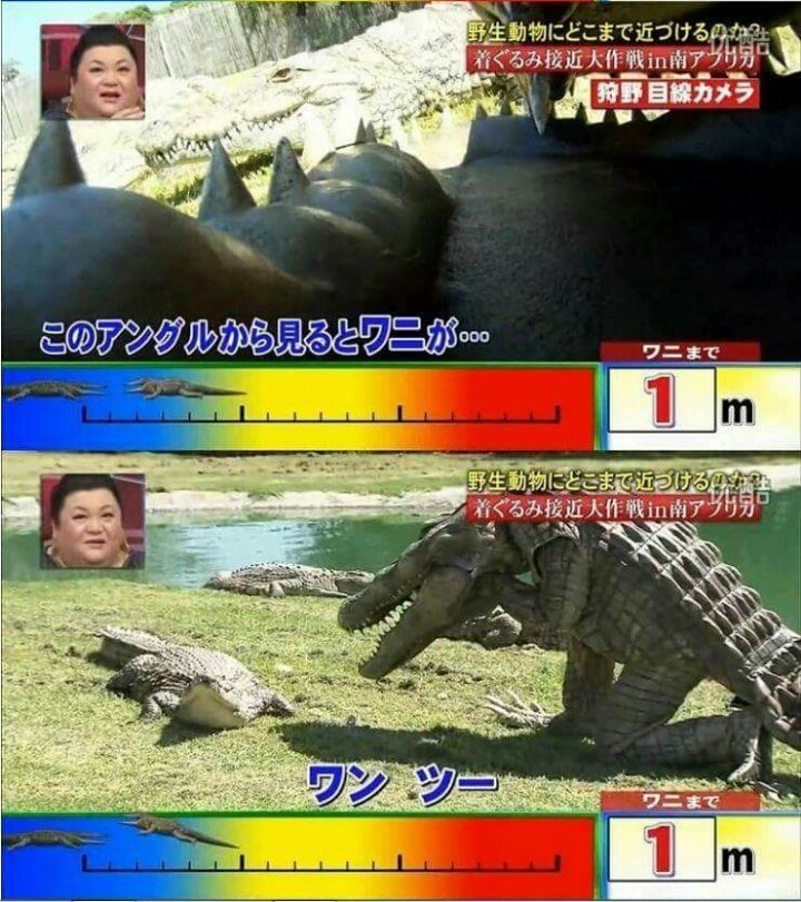 목숨건일본예능03.jpg