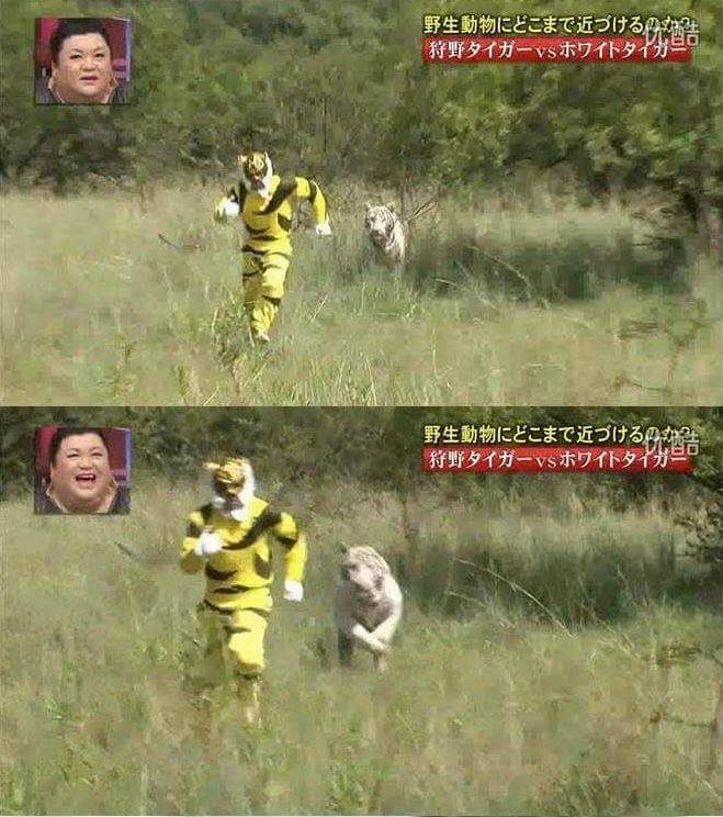 목숨건일본예능24.jpg