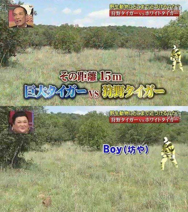 목숨건일본예능20.jpg