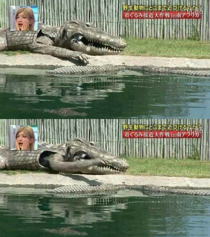 목숨건일본예능06.jpg