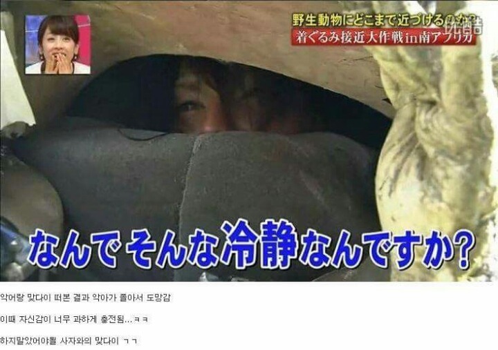 목숨건일본예능14.jpg