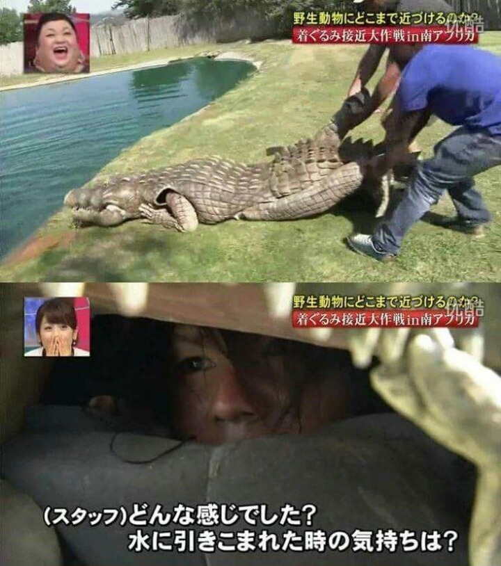 목숨건일본예능13.jpg