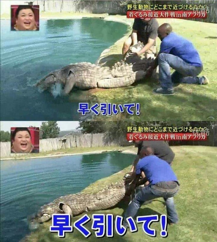 목숨건일본예능12.jpg