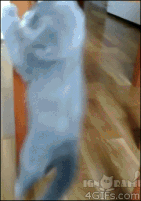 봉춤.gif