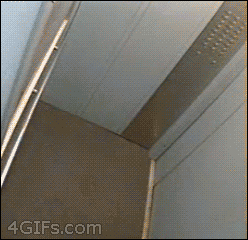 1469888172904.GIF