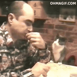 34234.gif