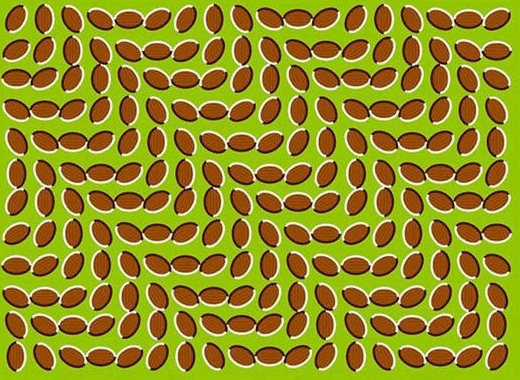 979f74bdcf3d9e3fc8485b0b284a77fd.jpg