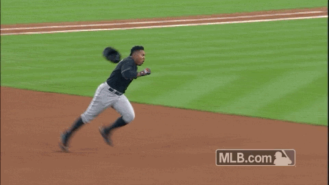 ZFDA.gif