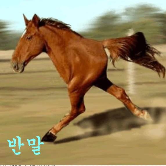 반말.jpg