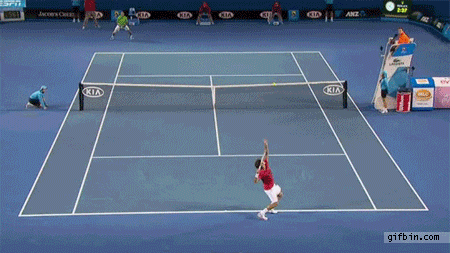 11111.gif