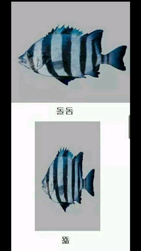 naver_com_20141109_032846.jpg