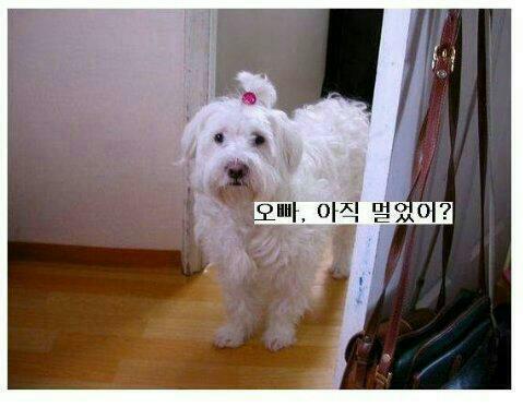 밥먹으래14.jpg