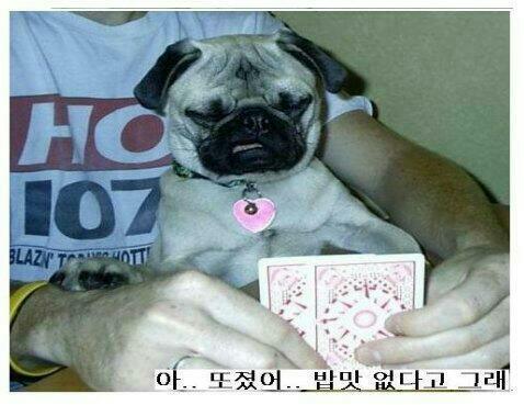 밥먹으래13.jpg