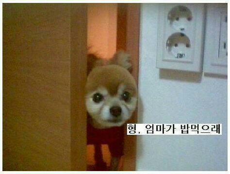 밥먹으래01.jpg