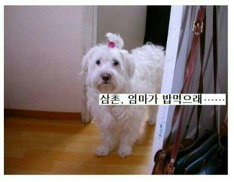 밥먹으래10.jpg