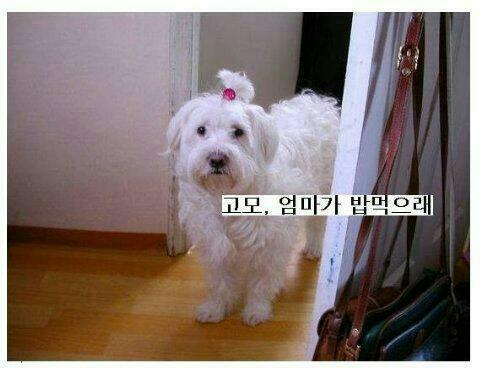 밥먹으래12.jpg