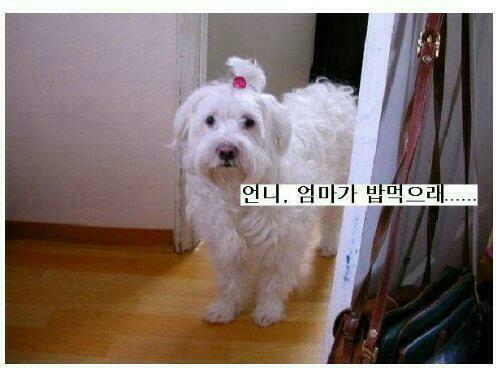 밥먹으래05.jpg