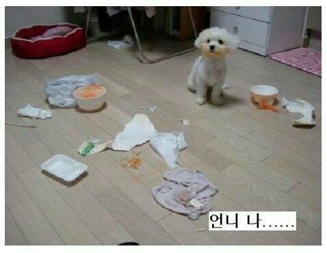 밥먹으래08.jpg