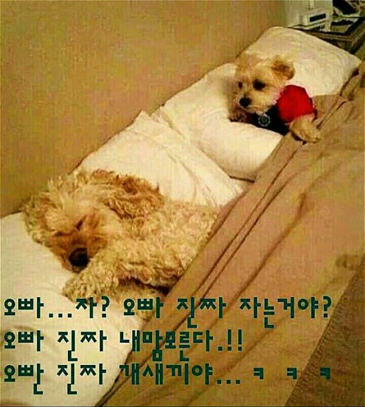 밥먹으래19이어서.jpg