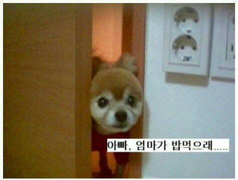 밥먹으래03.jpg