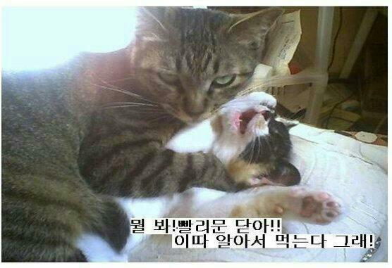 밥먹으래17.jpg