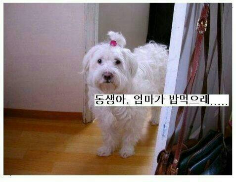 밥먹으래07.jpg
