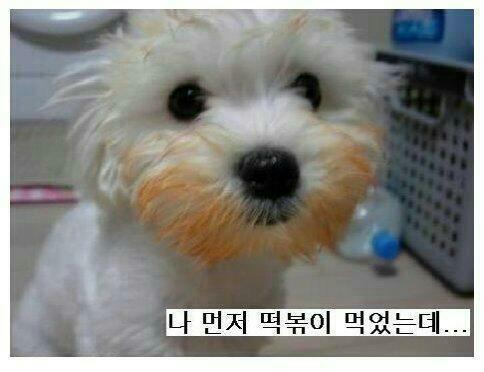 밥먹으래09.jpg