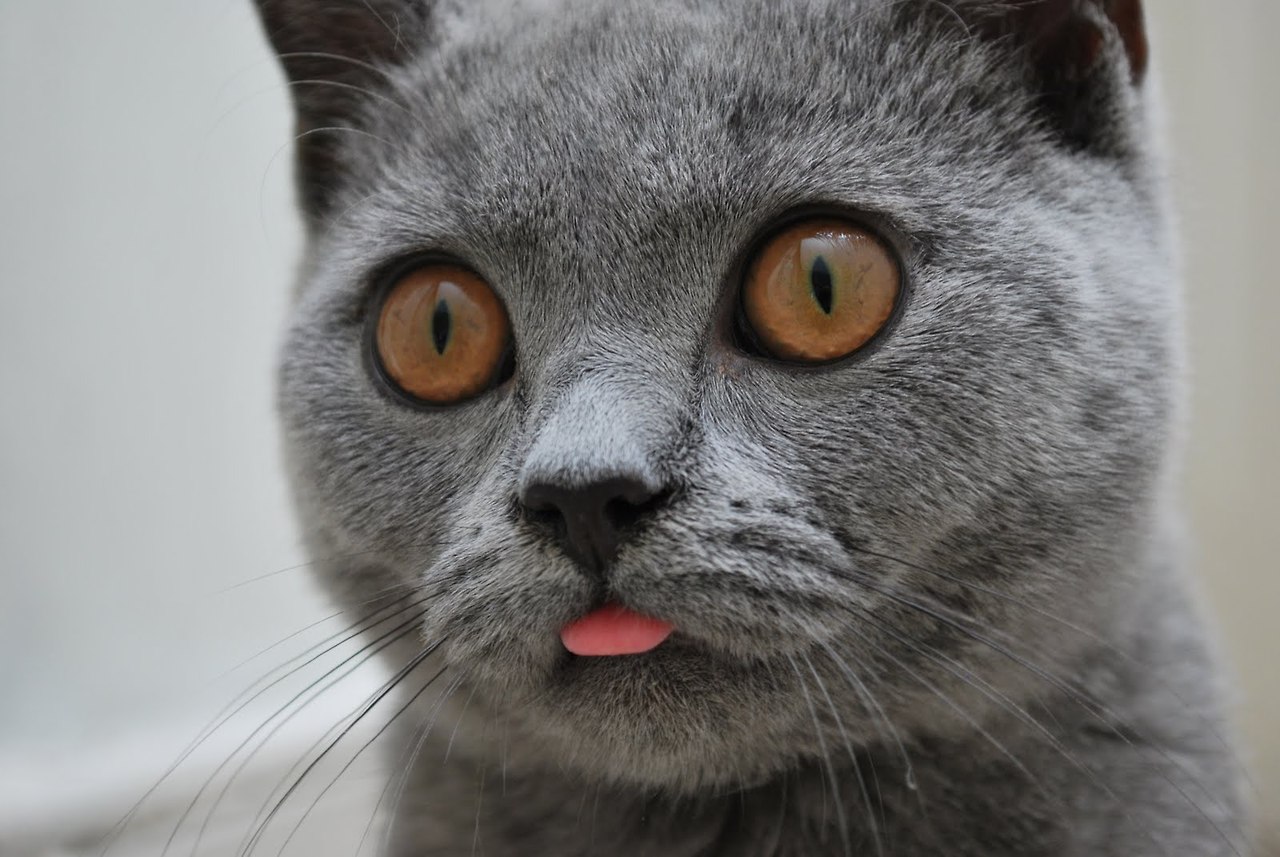tumblr_n9hcjcwW7b1ta83ebo5_1280.jpg